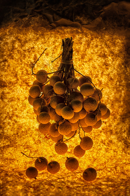 grapes_artwalk_image_1