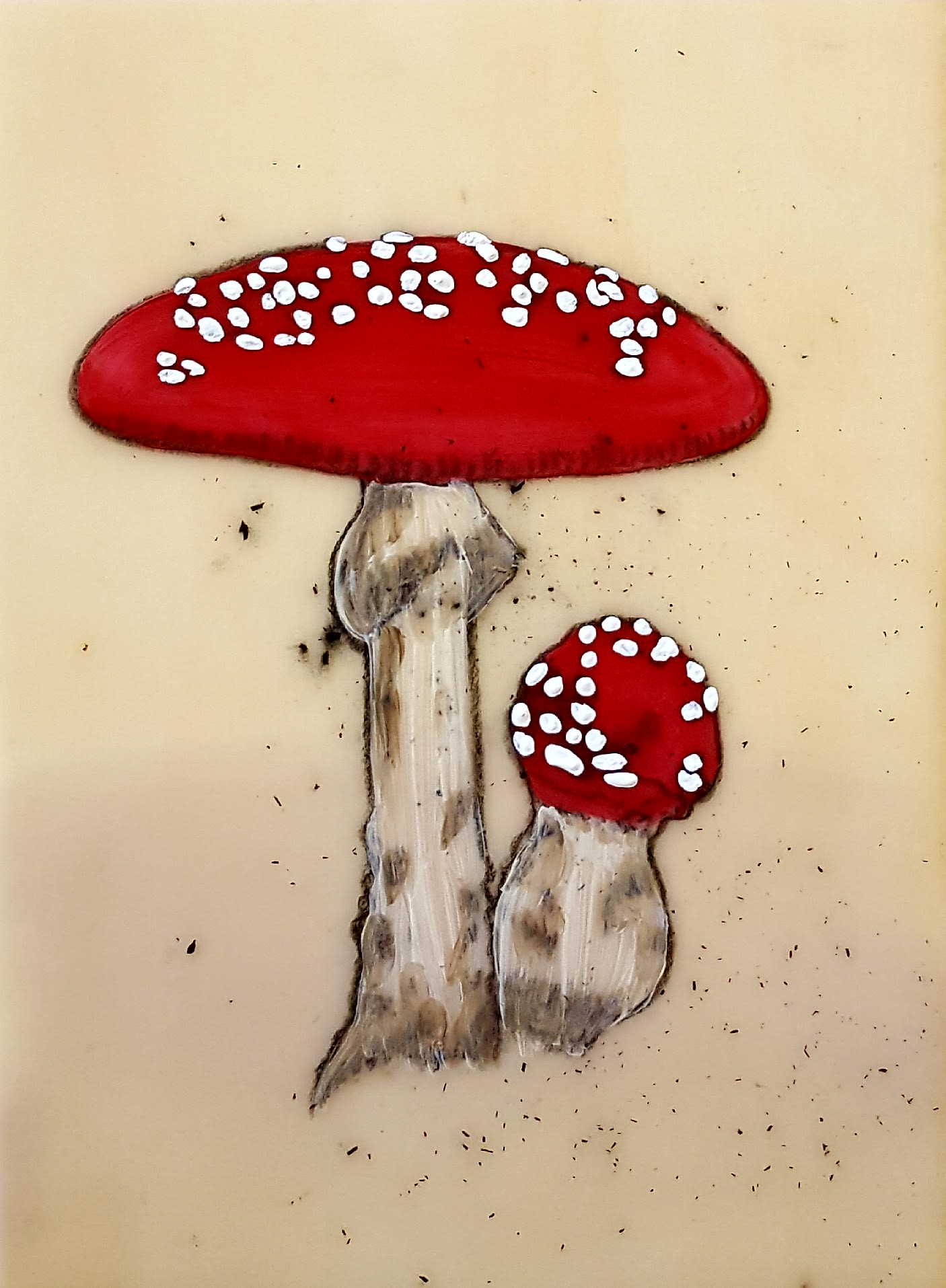 Salyna Gracie 2 Amanita Muscaria