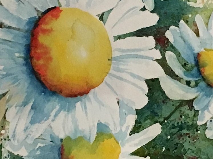 barnettheidi_happydaisies_03