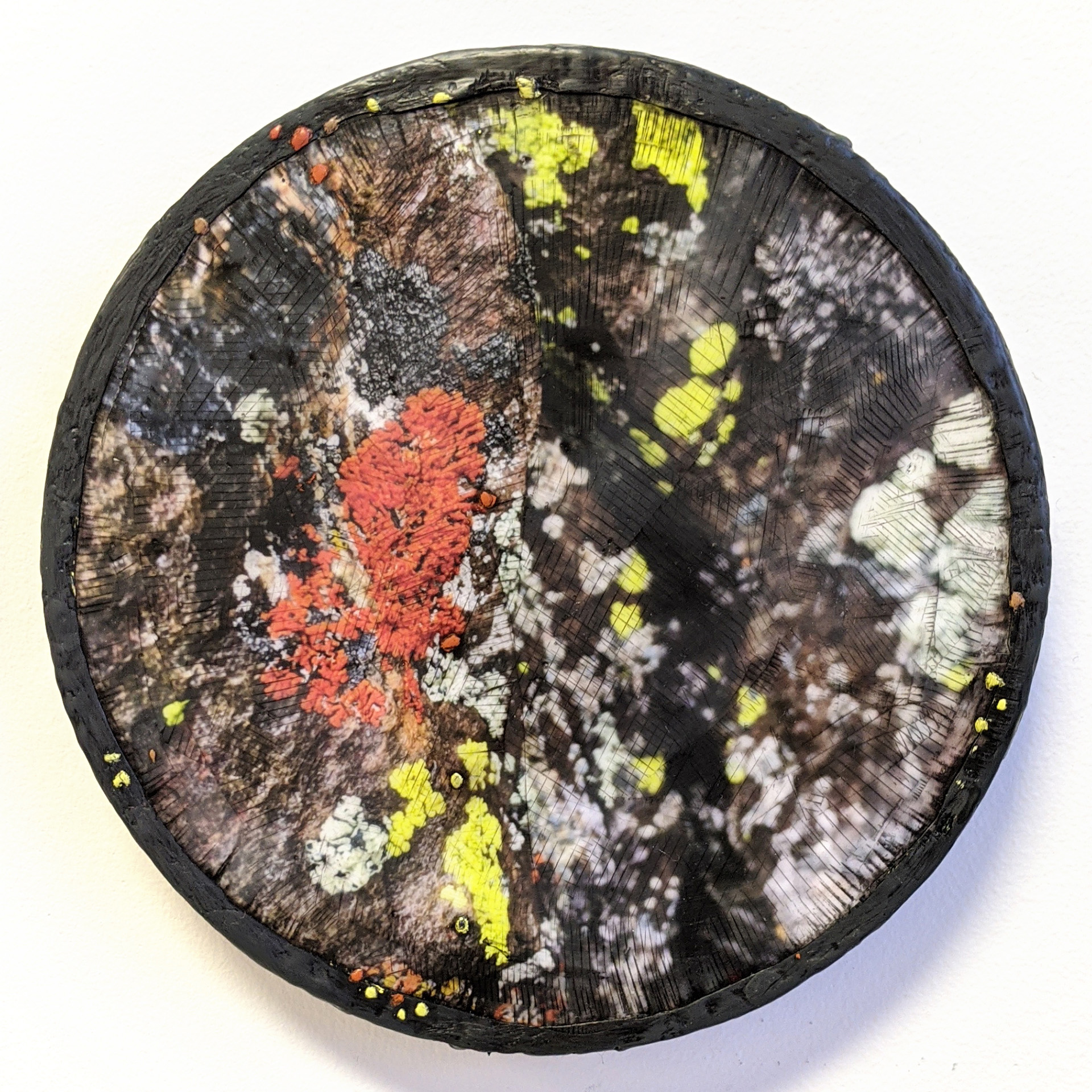 circuslichen01_lowrez_taramcdermott