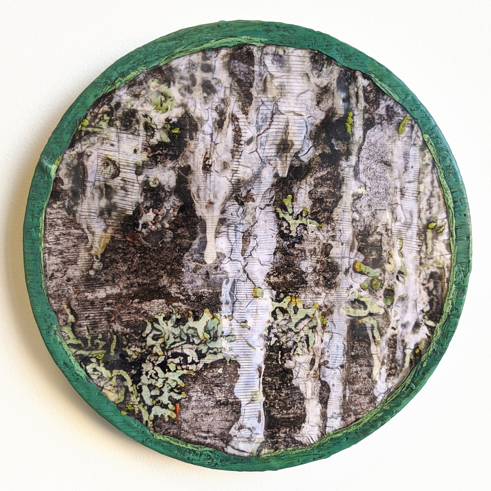 icytreelichen01_lowrez_taramcdermott