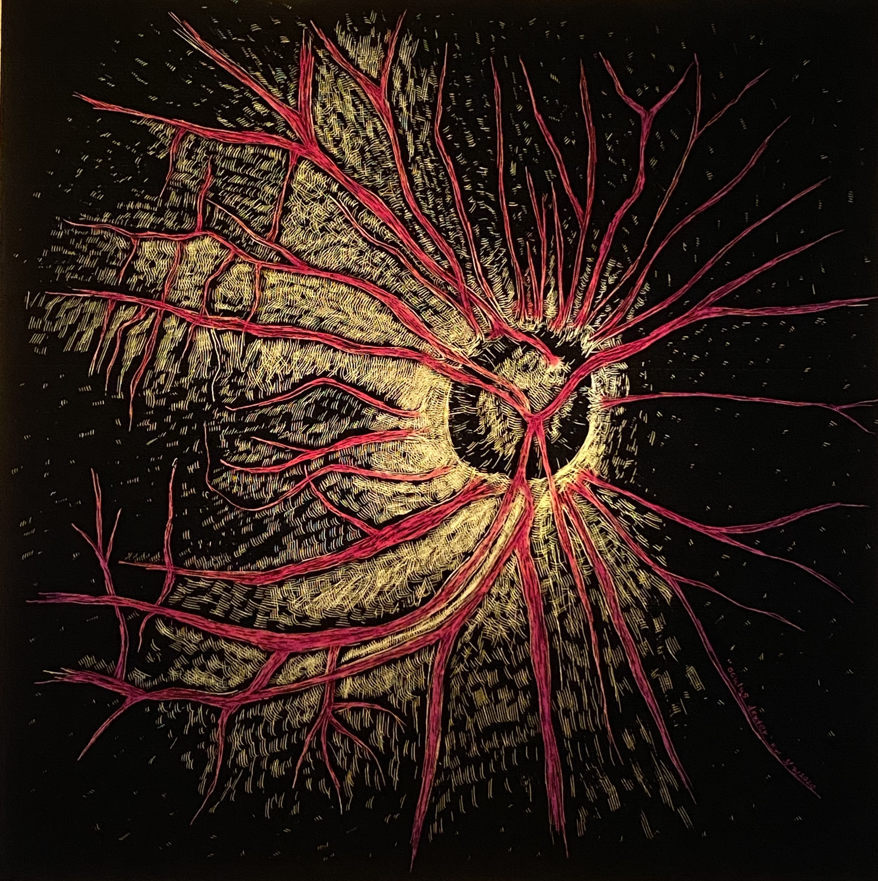 katie_wilson__oculus_dexter