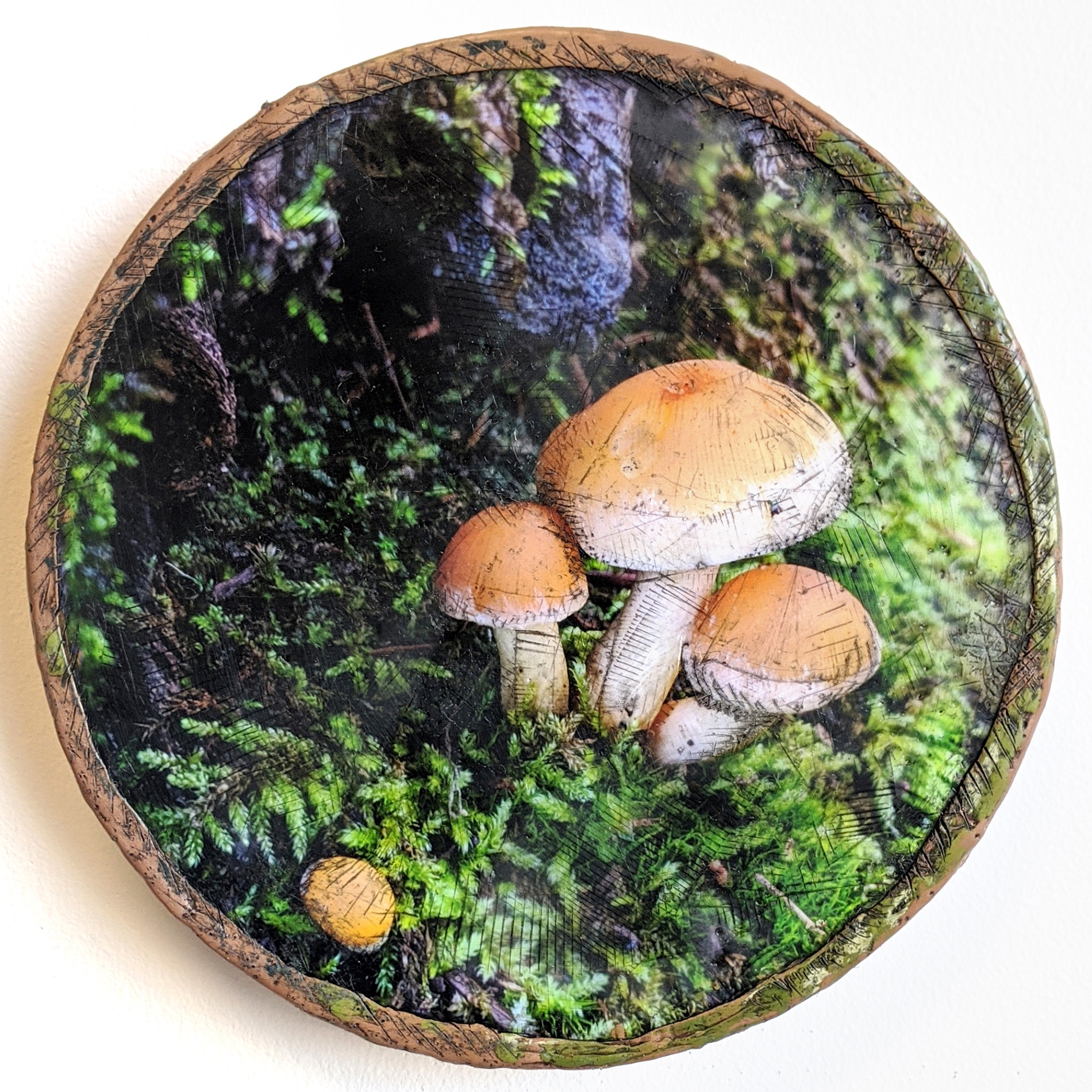 mushroom_lowrez_taramcdermott