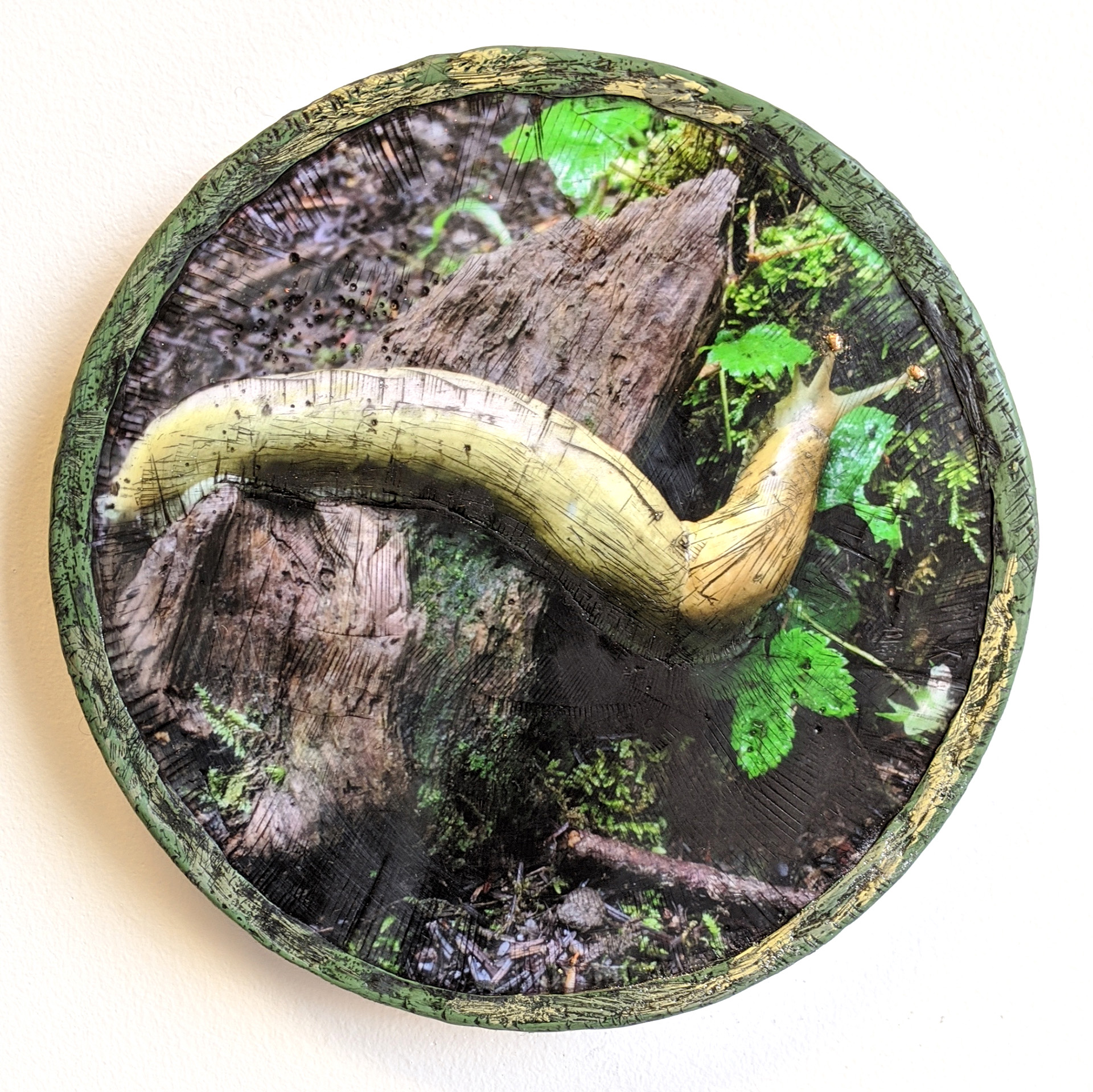 slug01_lowrez_taramcdermott