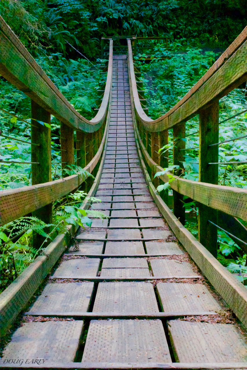 Where Will It Lead Me